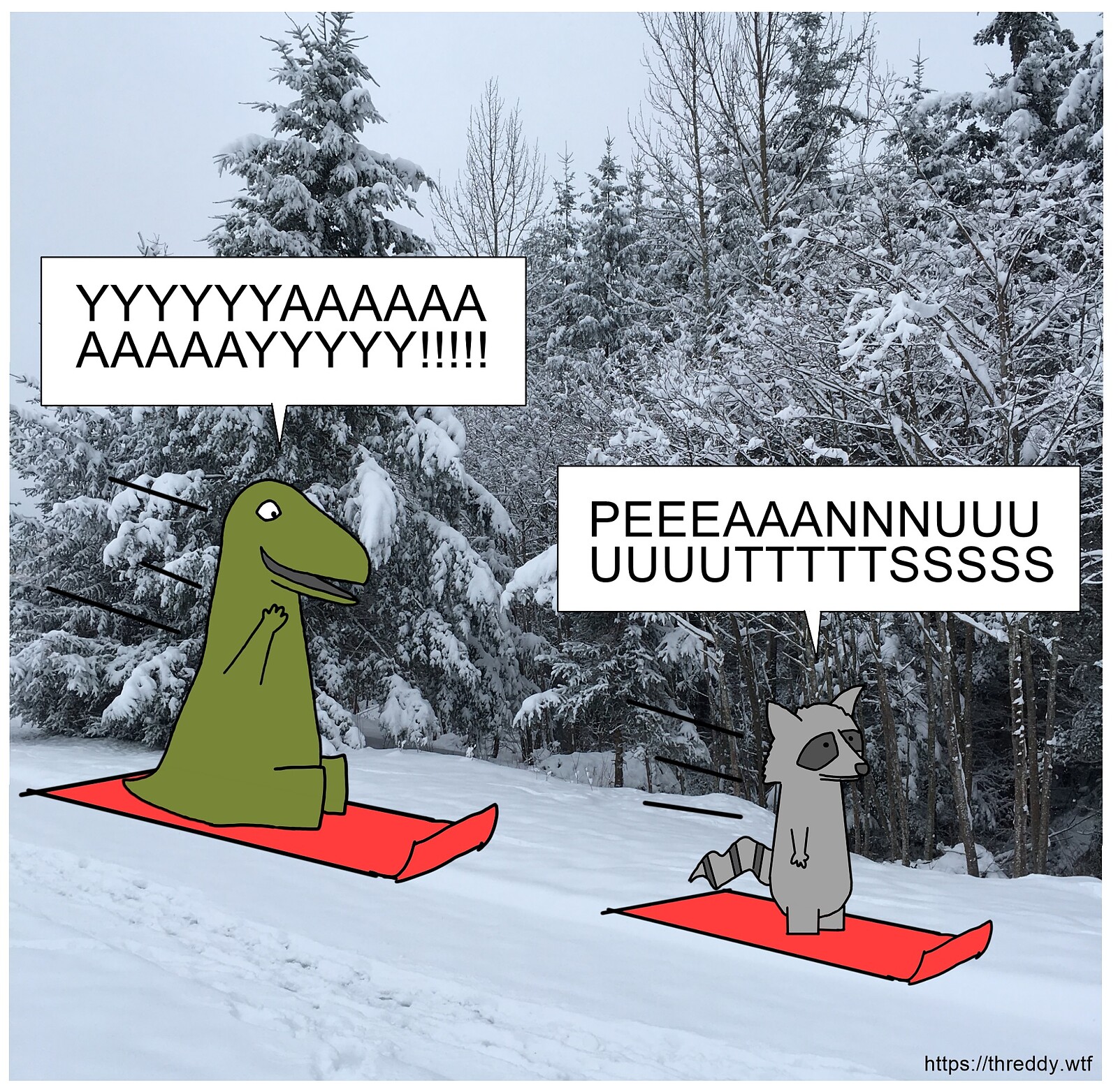 Snow Sledding