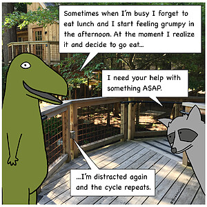 Forgetting to Eat Lunch