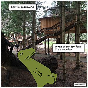 Seattle in January